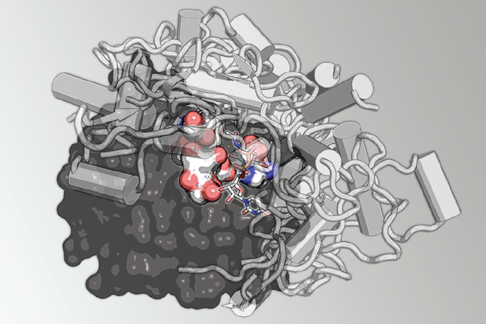 proj1